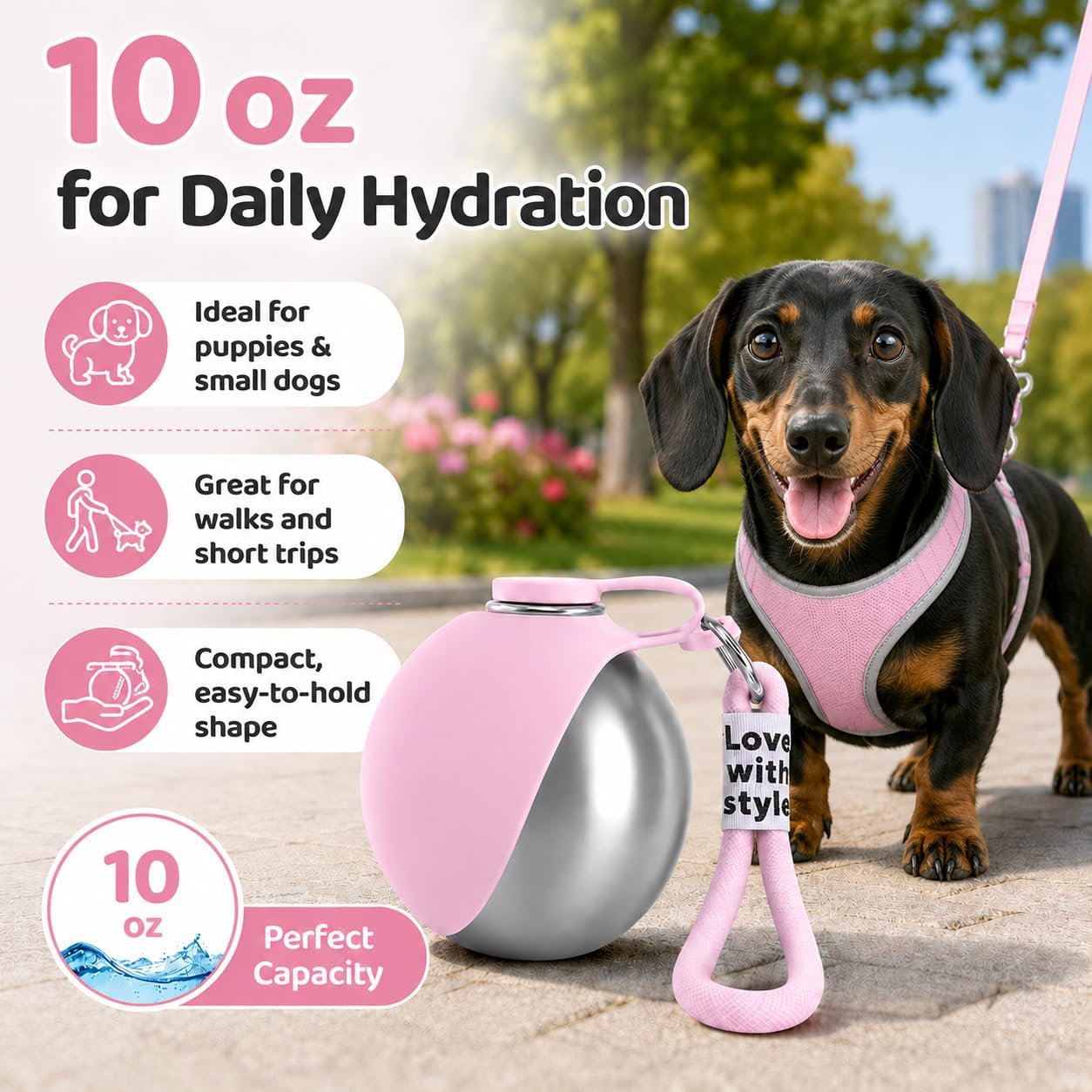 Portable Dog Water Bottle with Foldable Bowl – 10 oz Leak-Proof Travel Bottle