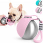 Portable stainless steel dog water bottle with foldable silicone bowl and carry rope